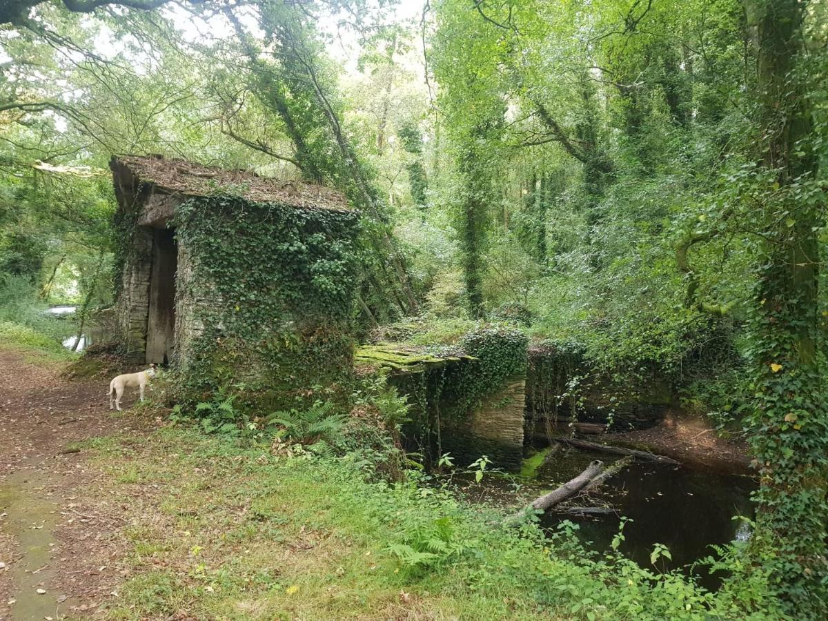 La Casa Del Tio Antonio Villa Taboy Kültér fotó